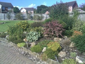 Clydach Garden